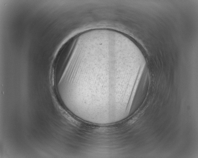 X0000075381510200610061825