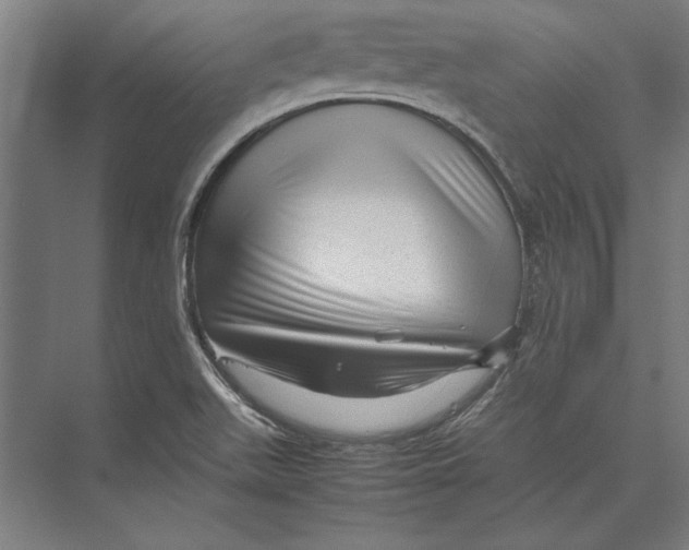 X0000075381511200610061825