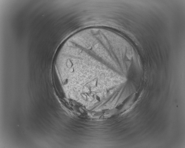 X0000075381513200610061825