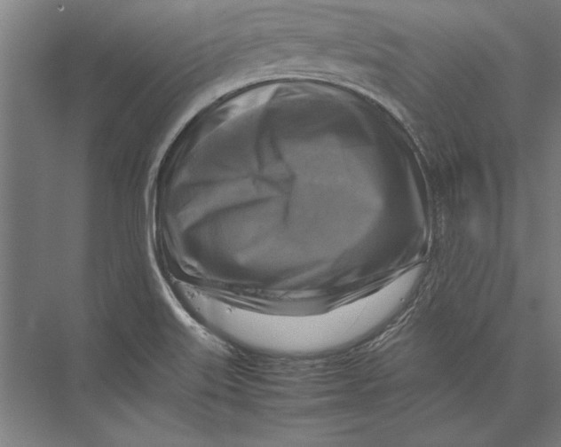 X0000075381515200610061825