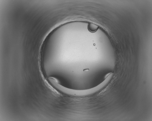 X0000075381518200610061825