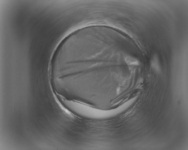 X0000075381519200610061825