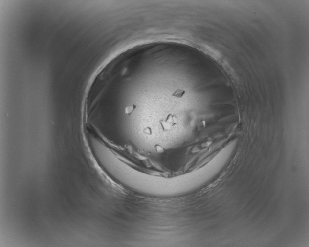 X0000075381520200610061825