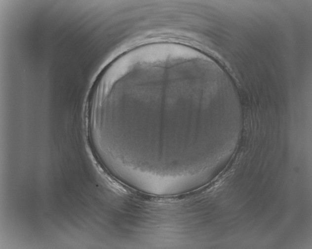 X0000075381522200610061825