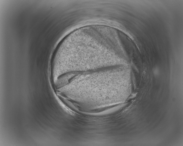 X0000075381523200610061825