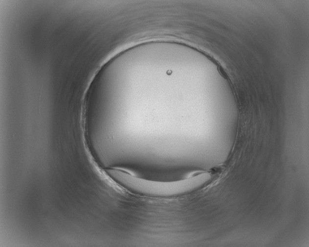 X0000075381526200610061825