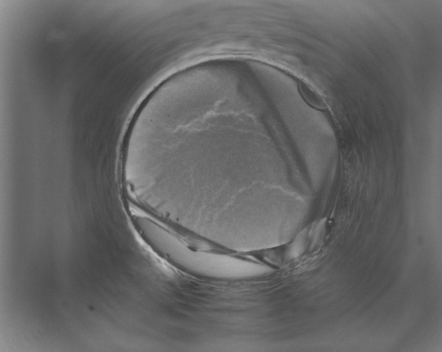 X0000075381527200610061825