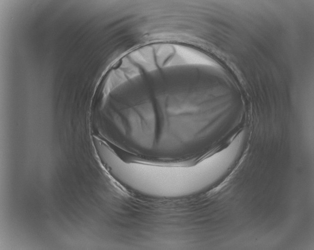 X0000075381529200610061826