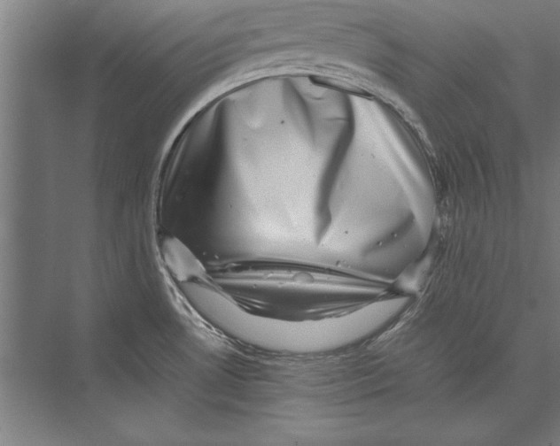 X0000075381530200610061826