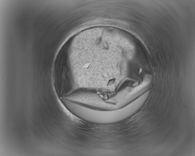 X0000075381531200610061826