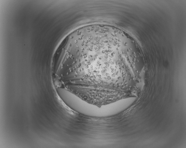 X0000075381532200610061826