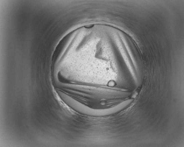 X0000075381534200610061826