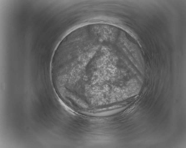 X0000075381535200610061826