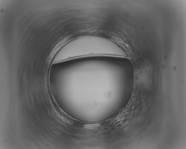 X0000075390051200609080949