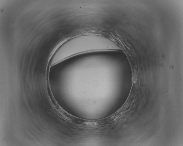 X0000075390052200609080949