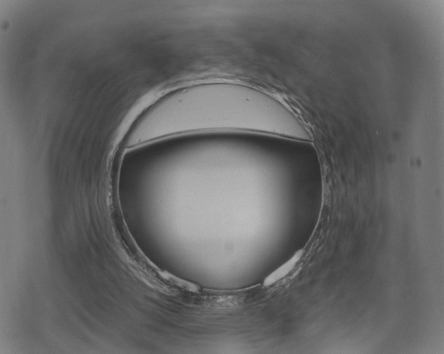X0000075390056200609080949