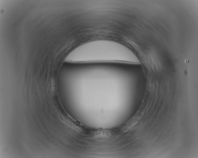 X0000075390077200609080949
