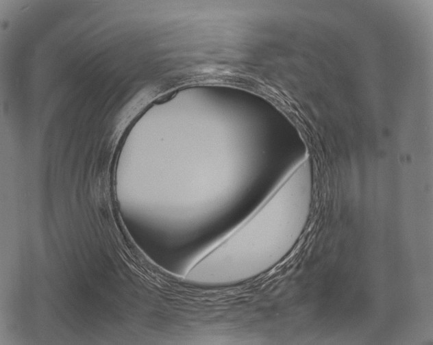 X0000075390099200609080949