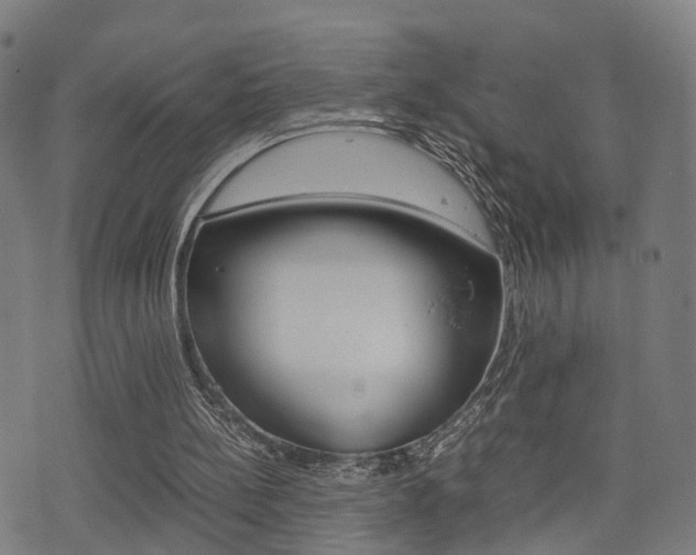 X0000075390148200609080947