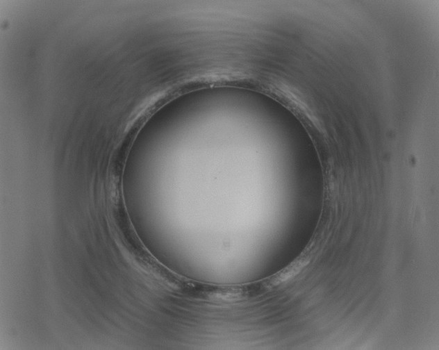 X0000075390164200609080948