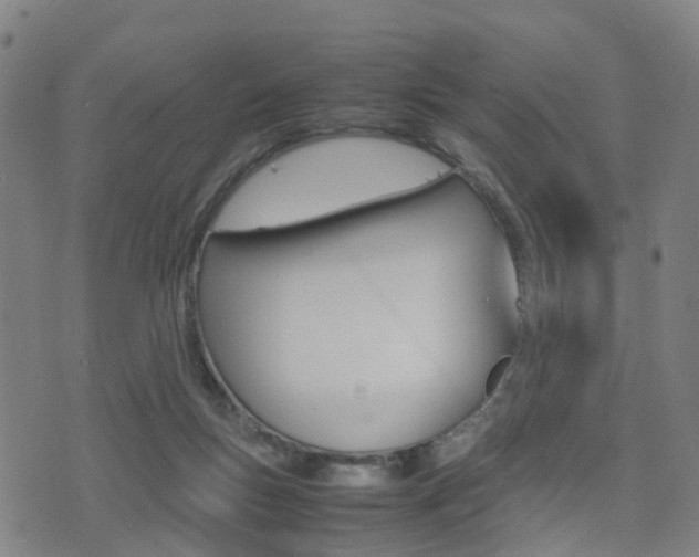 X0000075390167200609080948