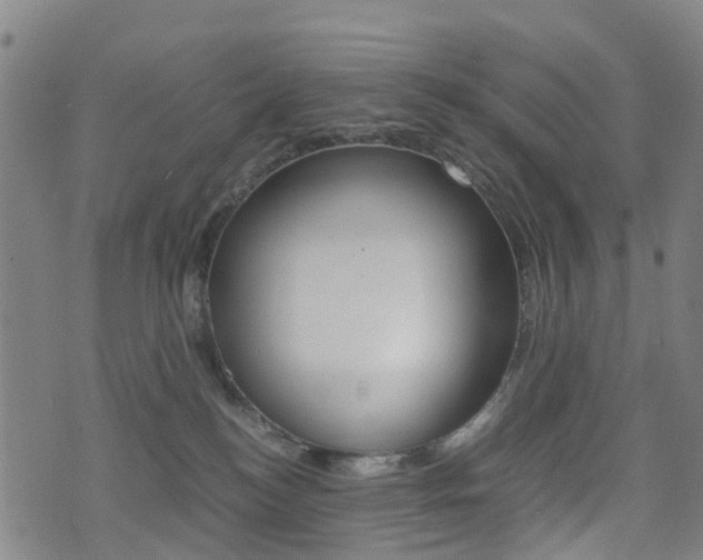 X0000075390184200609080948