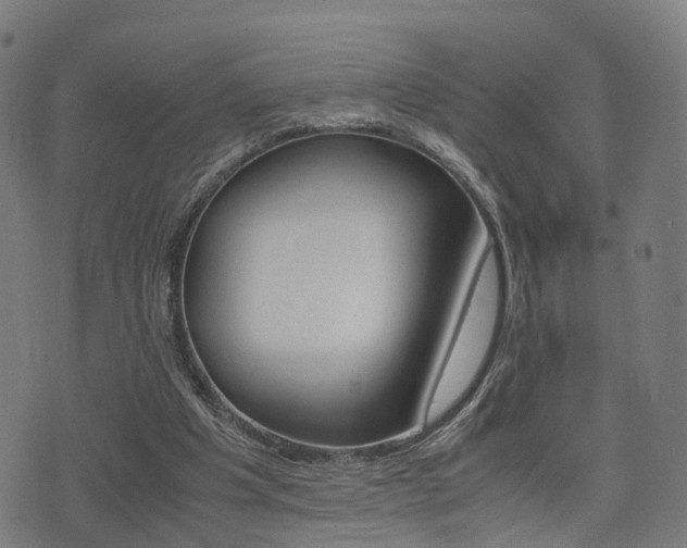 X0000075390201200609080947