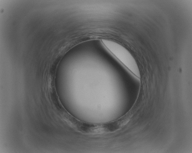 X0000075390219200609080947