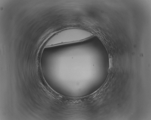 X0000075390243200609080946