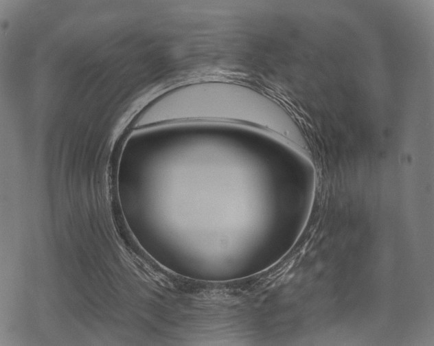 X0000075390244200609080946