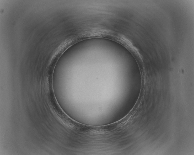 X0000075390250200609080946