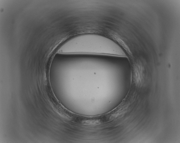 X0000075390251200609080946