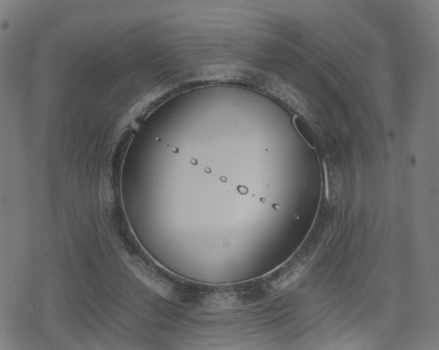 X0000075390252200609080946