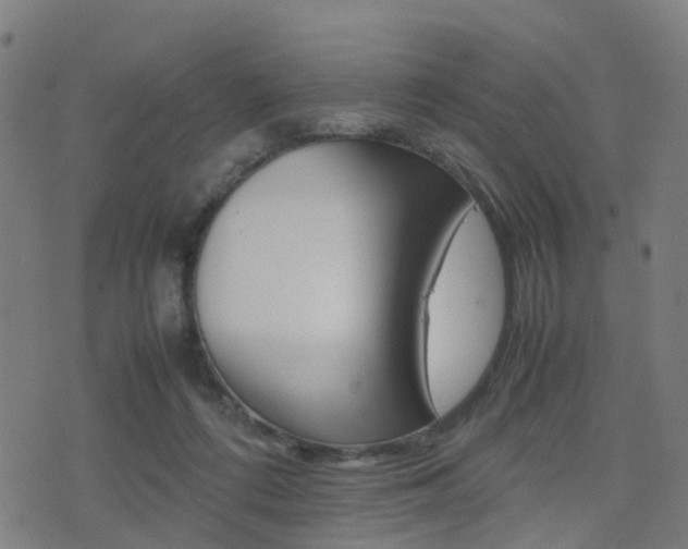 X0000075390312200609080945