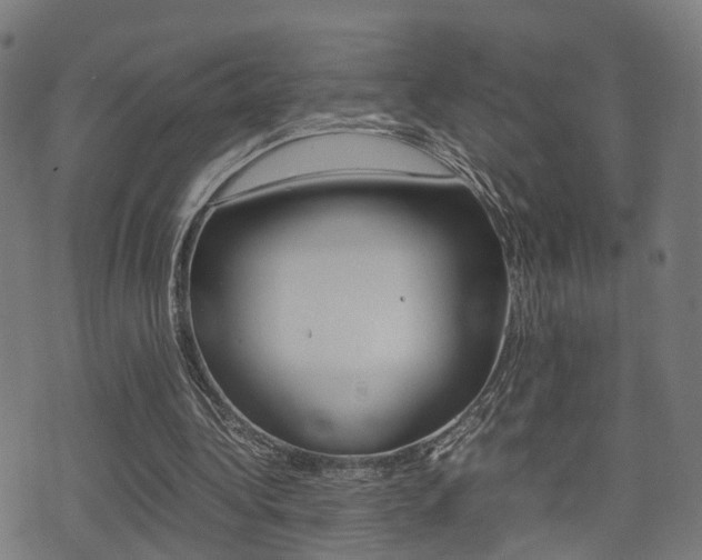X0000075390340200609080944