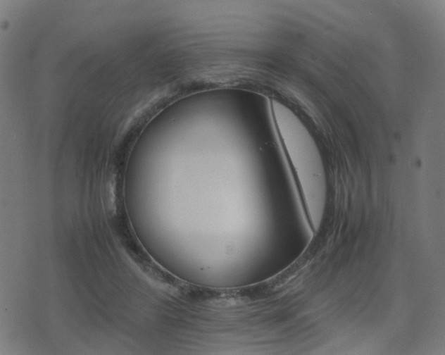 X0000075390404200609080944