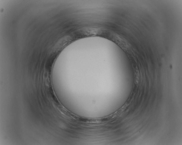 X0000075390414200609080944