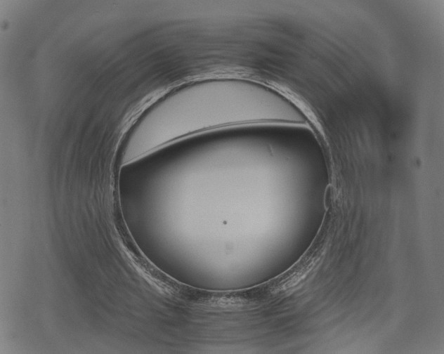 X0000075390437200609080943