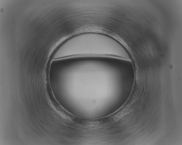 X0000075390438200609080943