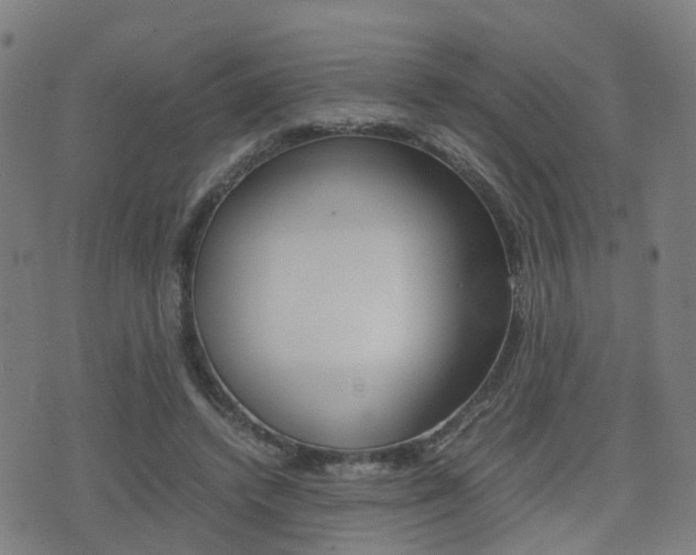 X0000075390448200609080943