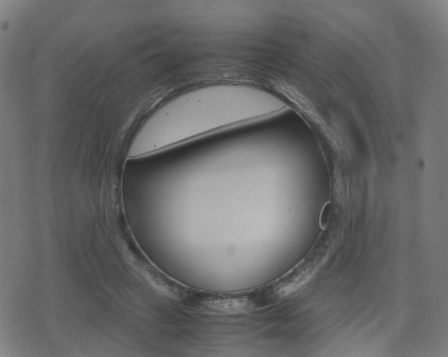 X0000075390449200609080943