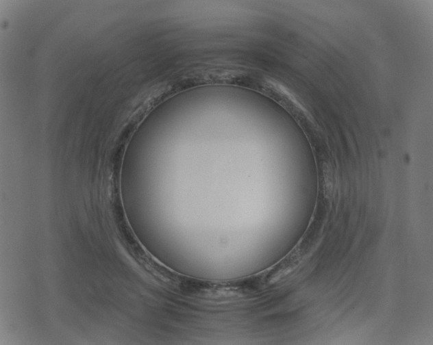 X0000075390451200609080943