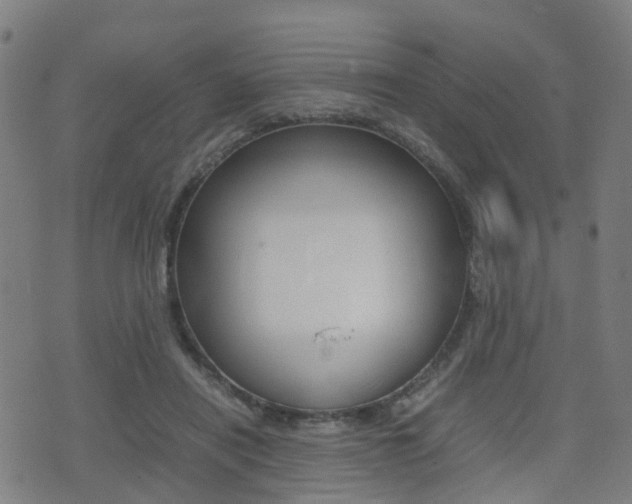 X0000075390454200609080943