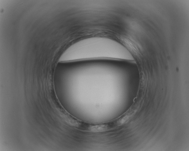 X0000075390461200609080943