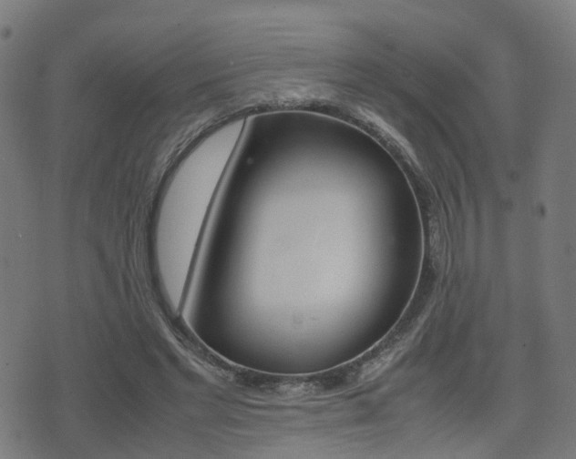 X0000075390493200609080942
