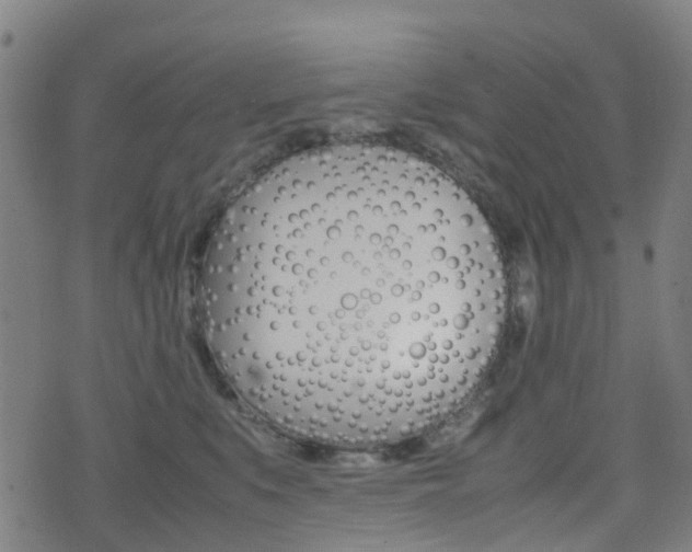 X0000075390519200609080942