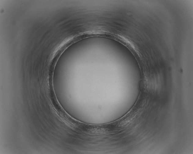 X0000075390535200609080941