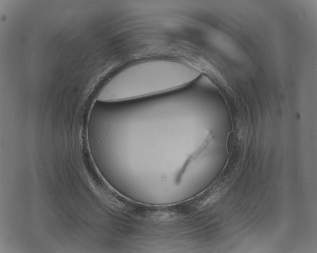 X0000075390542200609080941