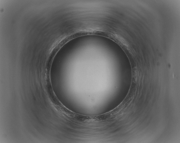 X0000075390544200609080941