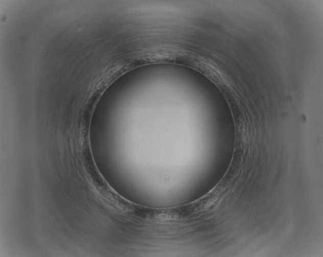 X0000075390546200609080941